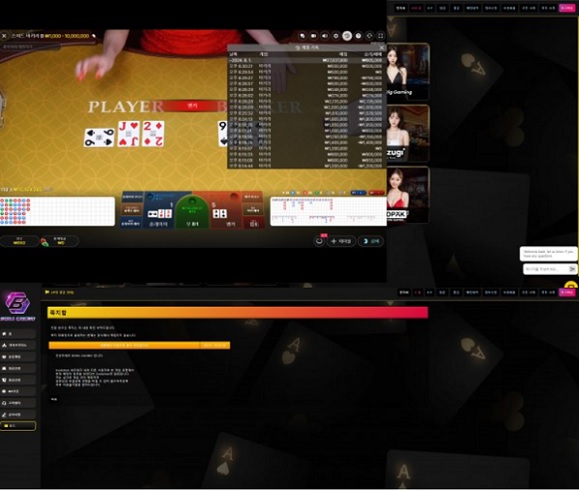 보라카지노 먹튀.jpg